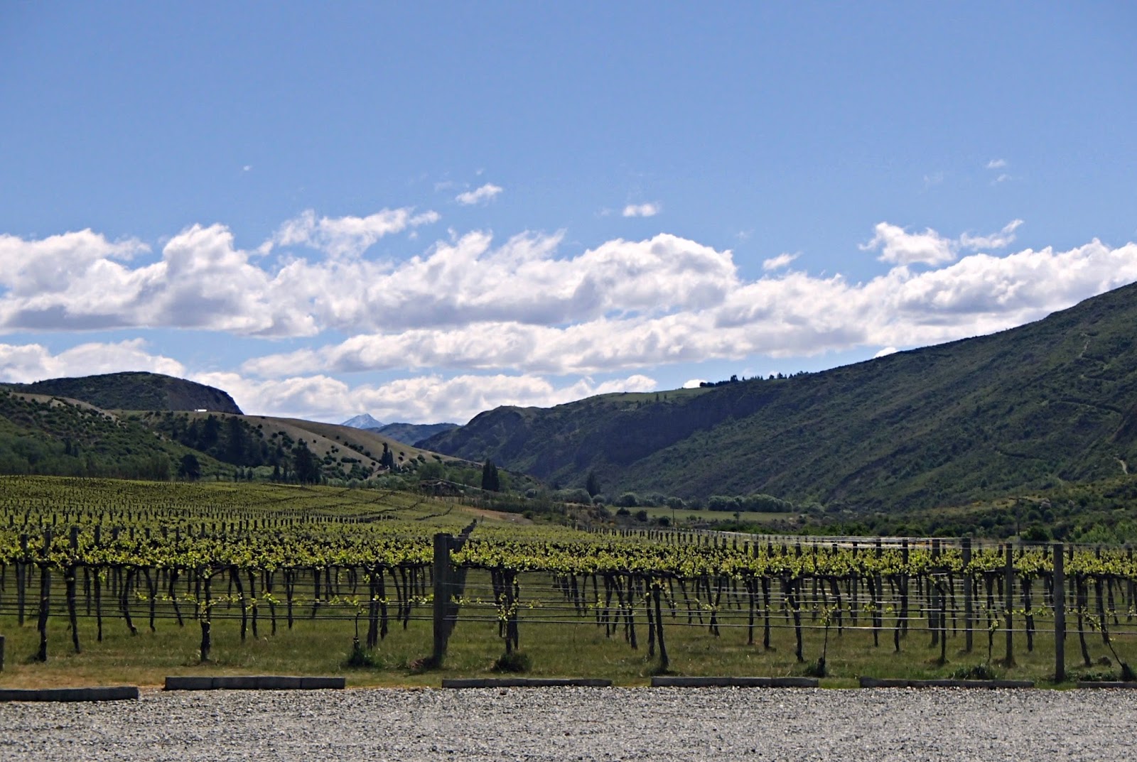 Laura and Peter Down Under Queenstown Wineries