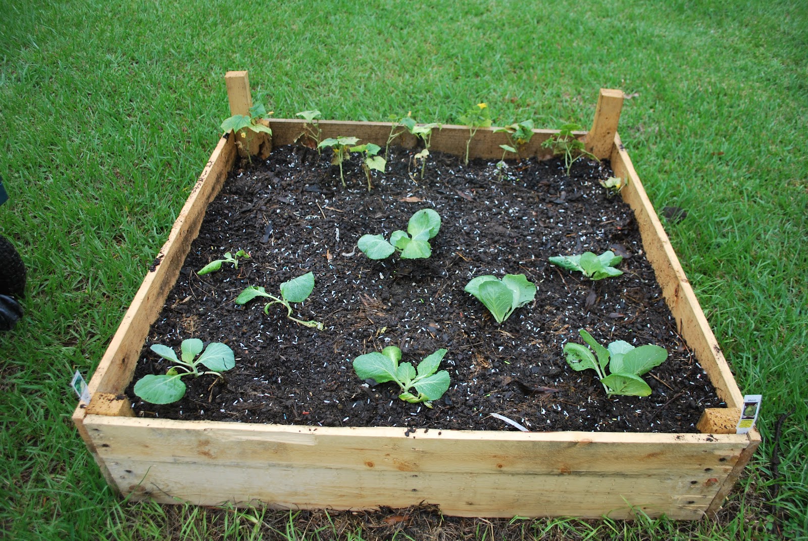 HighTail Farms Building Raised Garden Beds on the cheap