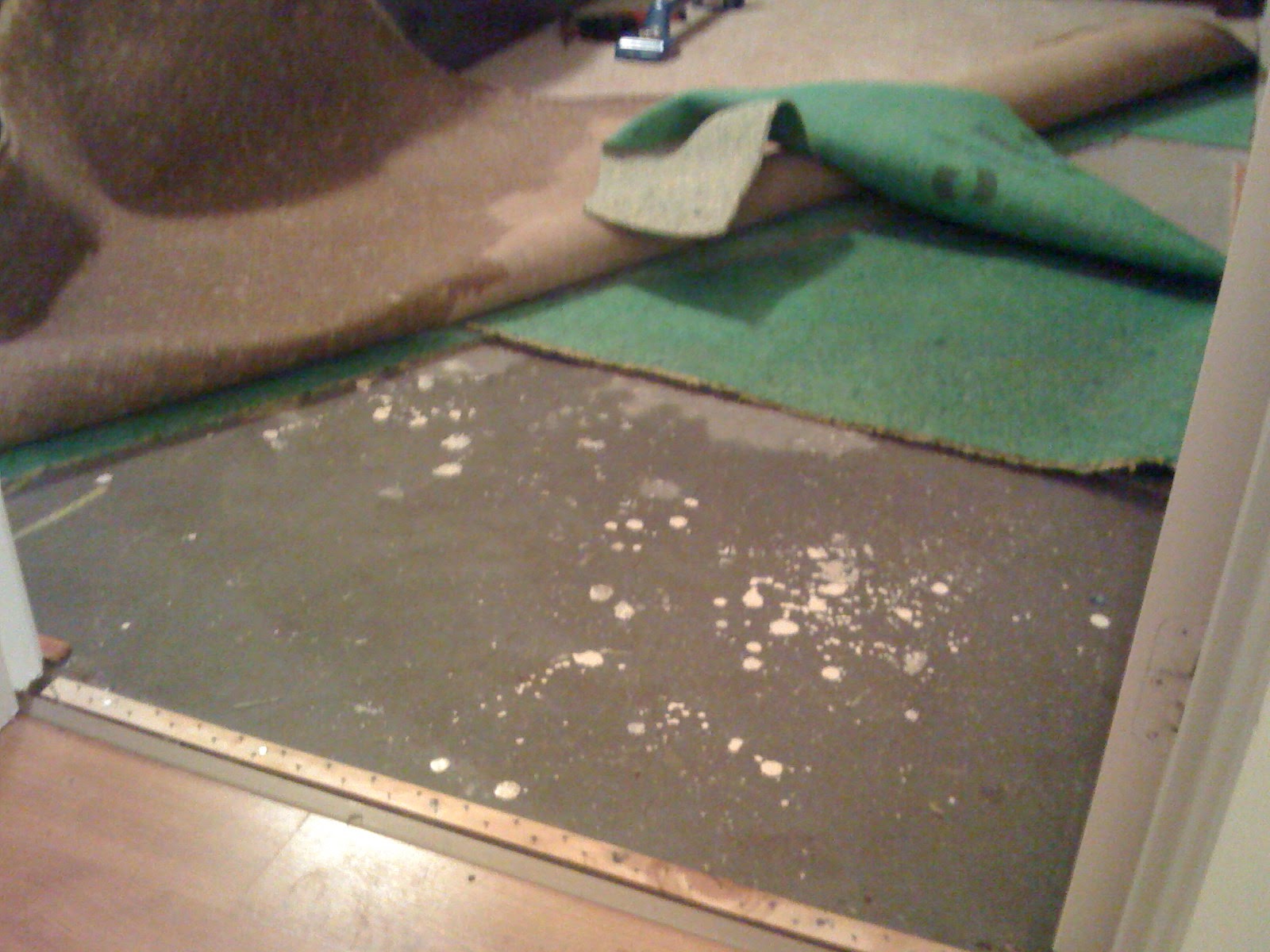 WATER DAMAGED CARPETS MELBOURNE