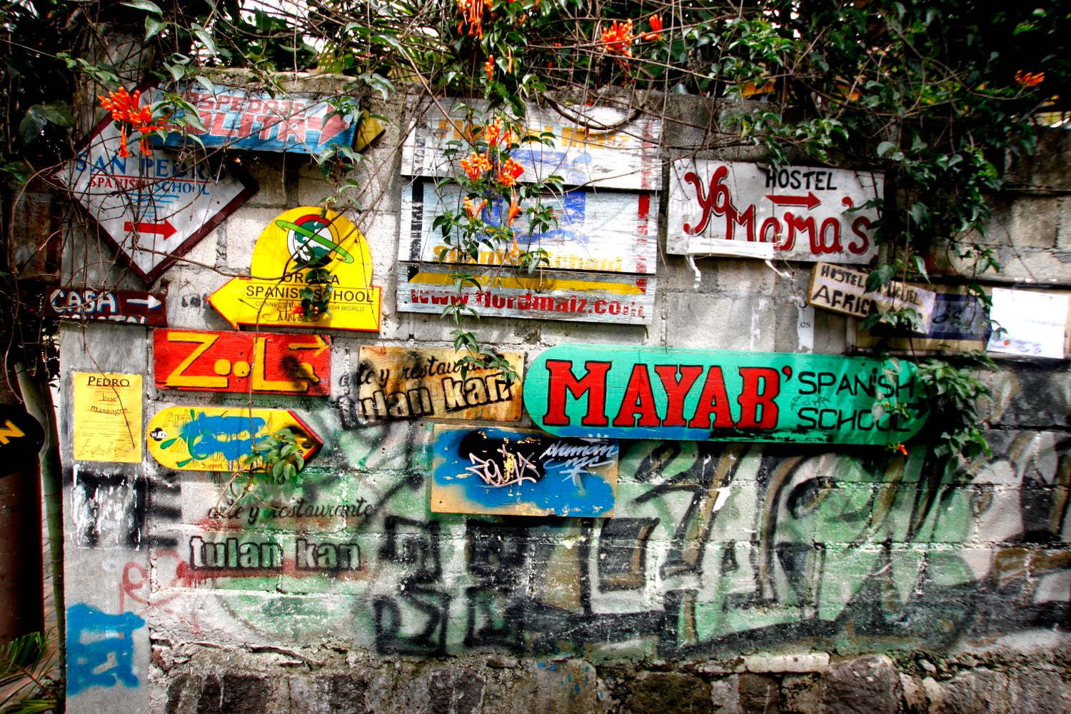 Mural Galaxia Murales Mural De Flores Dibujos Etnicos