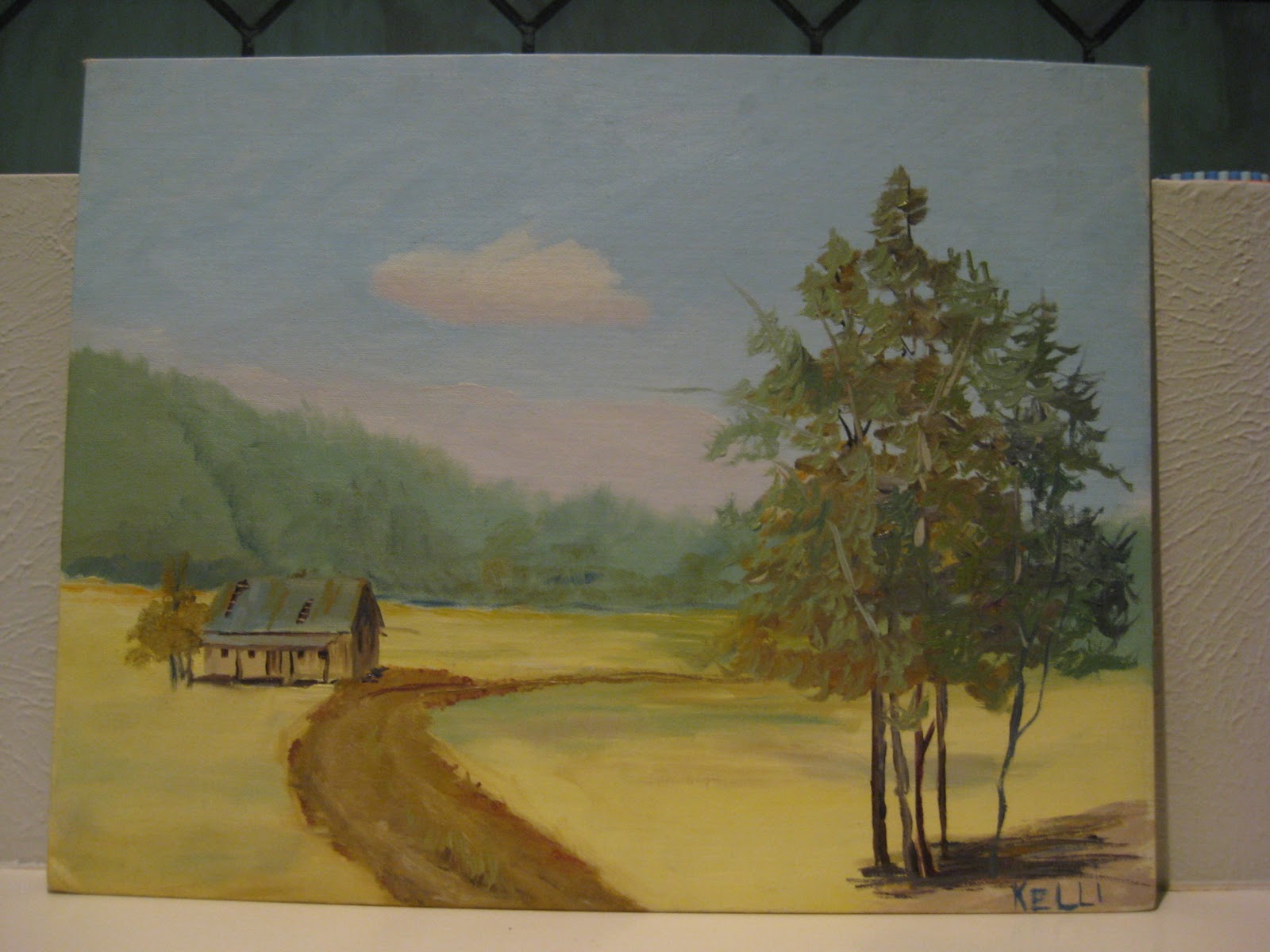 Kiwi in Texas Original Art from Goodwill