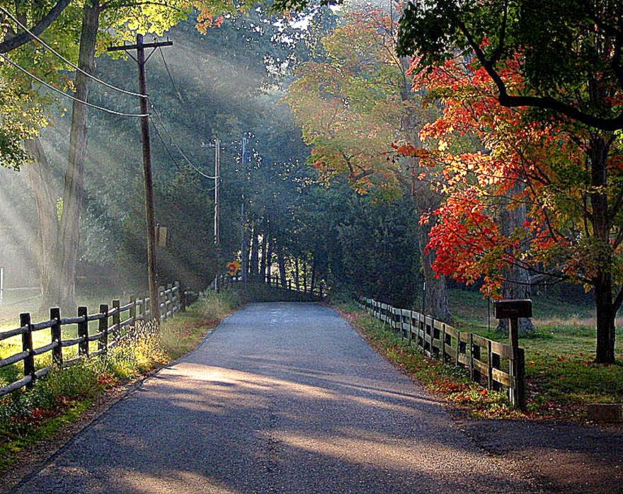 Seenary Free Park Scenery The Your Top HD Wallpapers ID53885 Seenary Free Park Scenery The Your Top HD Wallpapers ID53885