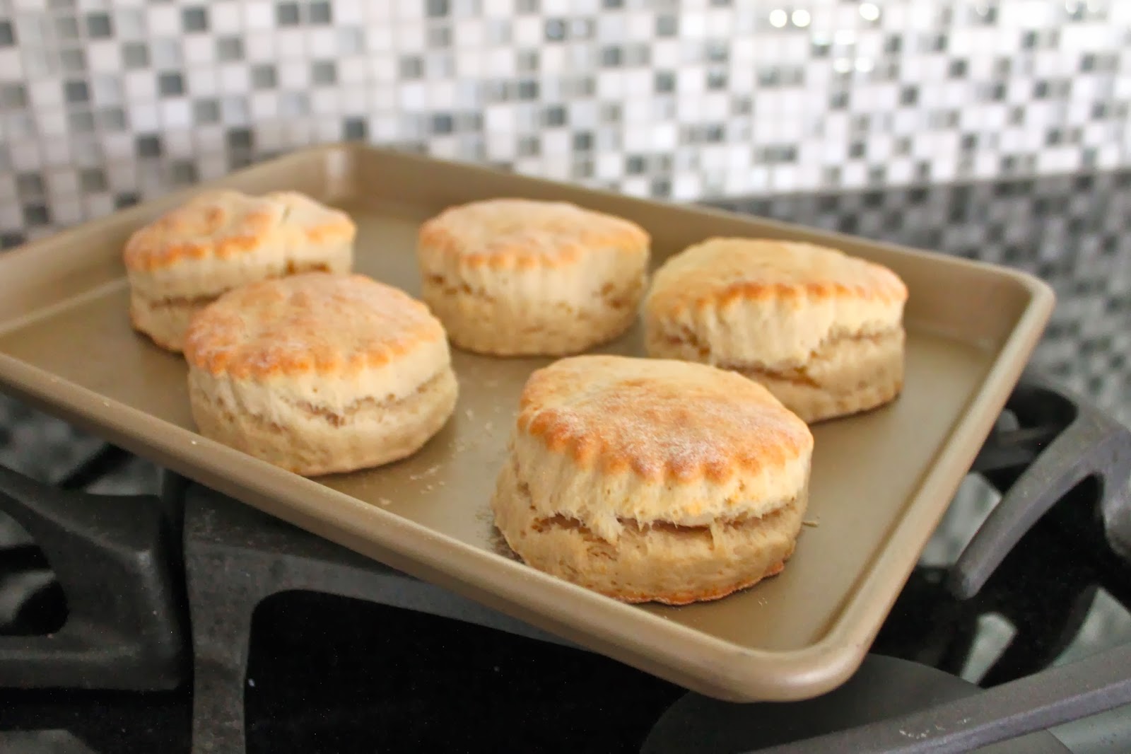 Baked Perfection: Homemade Biscuits