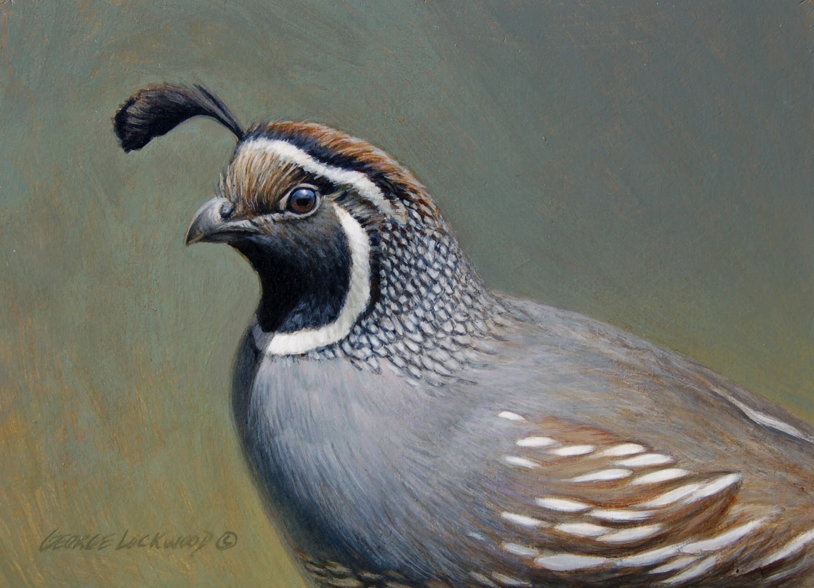 Lockwood's Daily Paintings August 2012