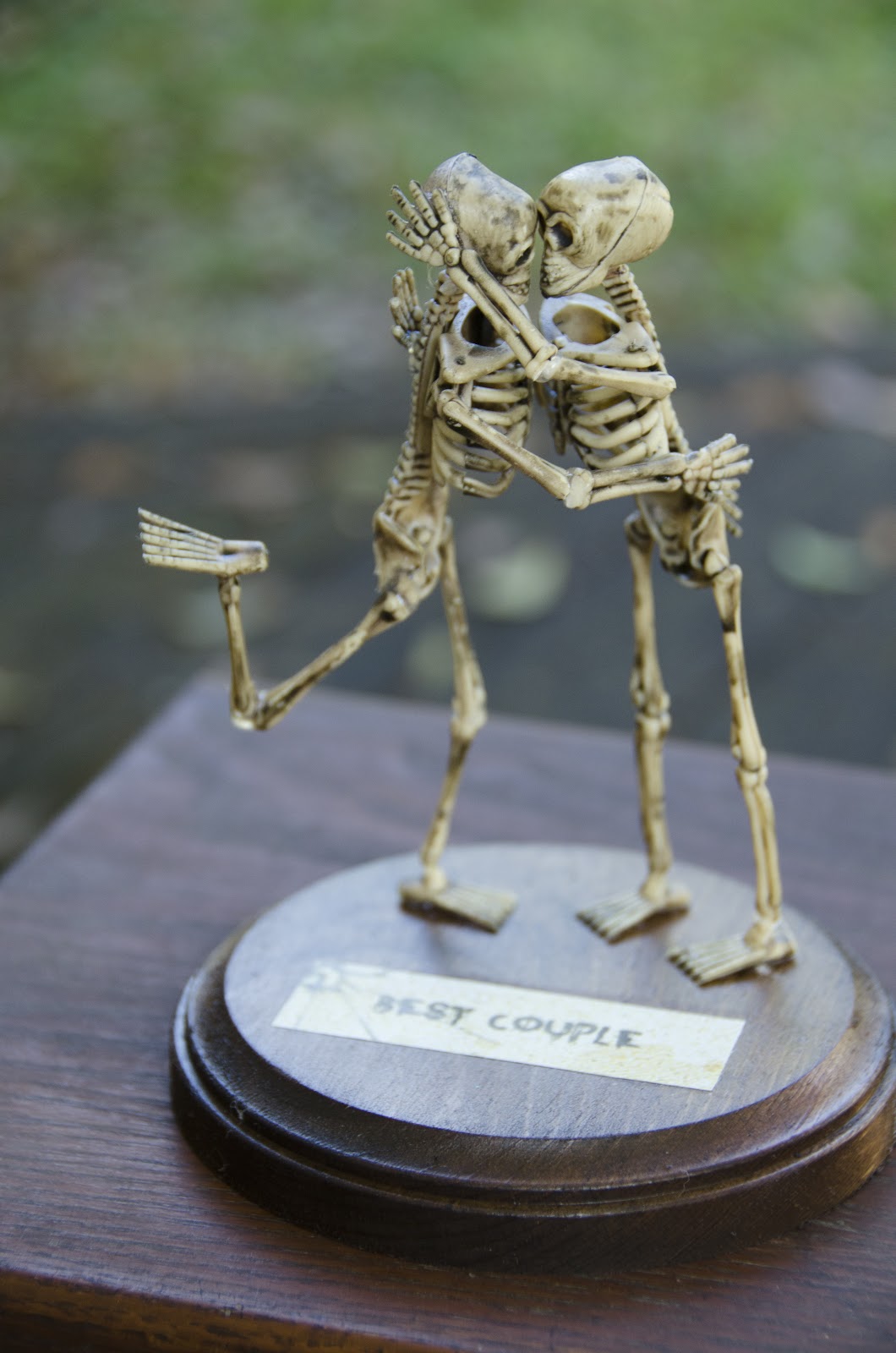 Through My Looking Glass Christy Buonomo Photography Halloween Trophies