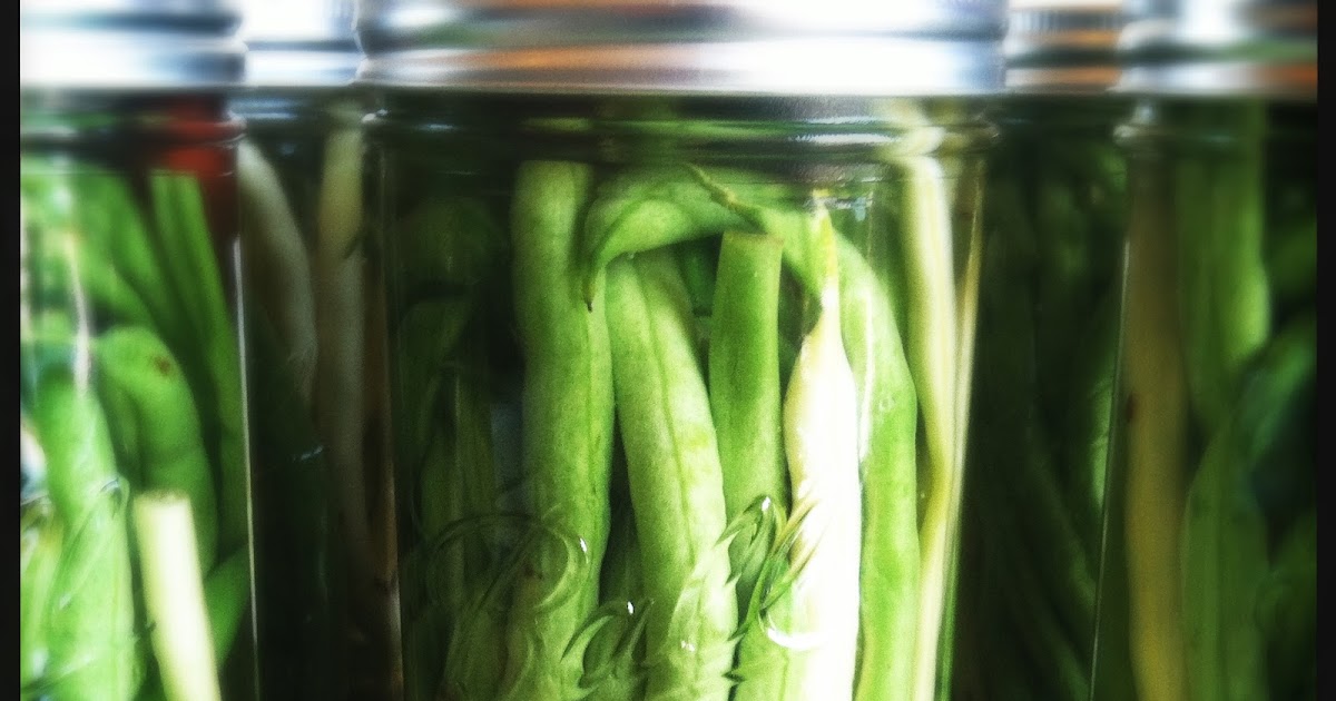 CanCan Spicy Pickled Green Beans
