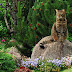 Cat & Kittens Wallpaper -3