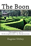 The Boon: Thoughts of a Schizophrenic in Remission