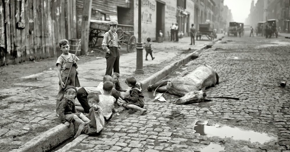 driftglass Out in the Alley a Dead Horse is Beaten