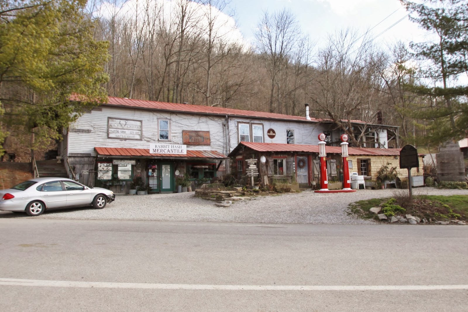 BlueEyed Kentucky Rabbit Hash