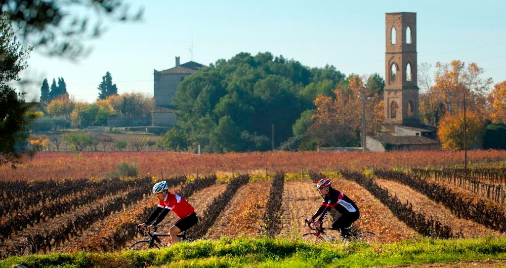 Cycling in Penedes Cycling in Penedes