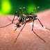 Campos já tem 94 casos de dengue confirmados em 2015.
