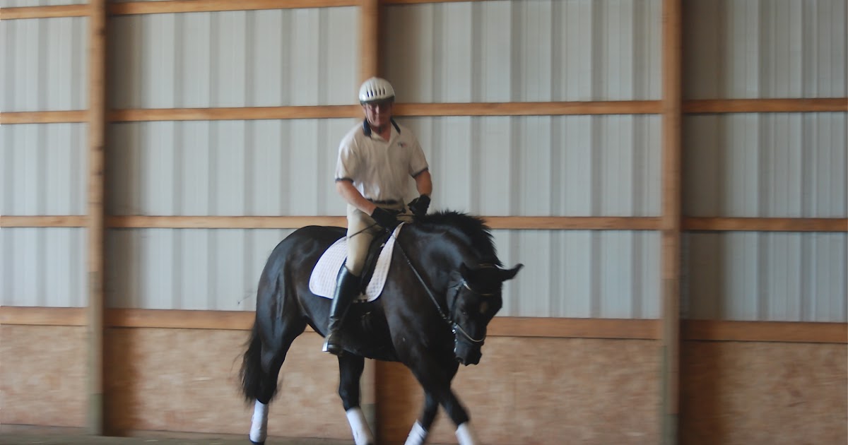 Classical Dressage Art in Motion