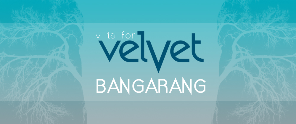 V is for Velvet