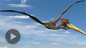 Viễn_Tưởng - Khủng Long Bay Vietsub - Flying Monsters With David Attenborough Vietsub (2011) Khung+longb