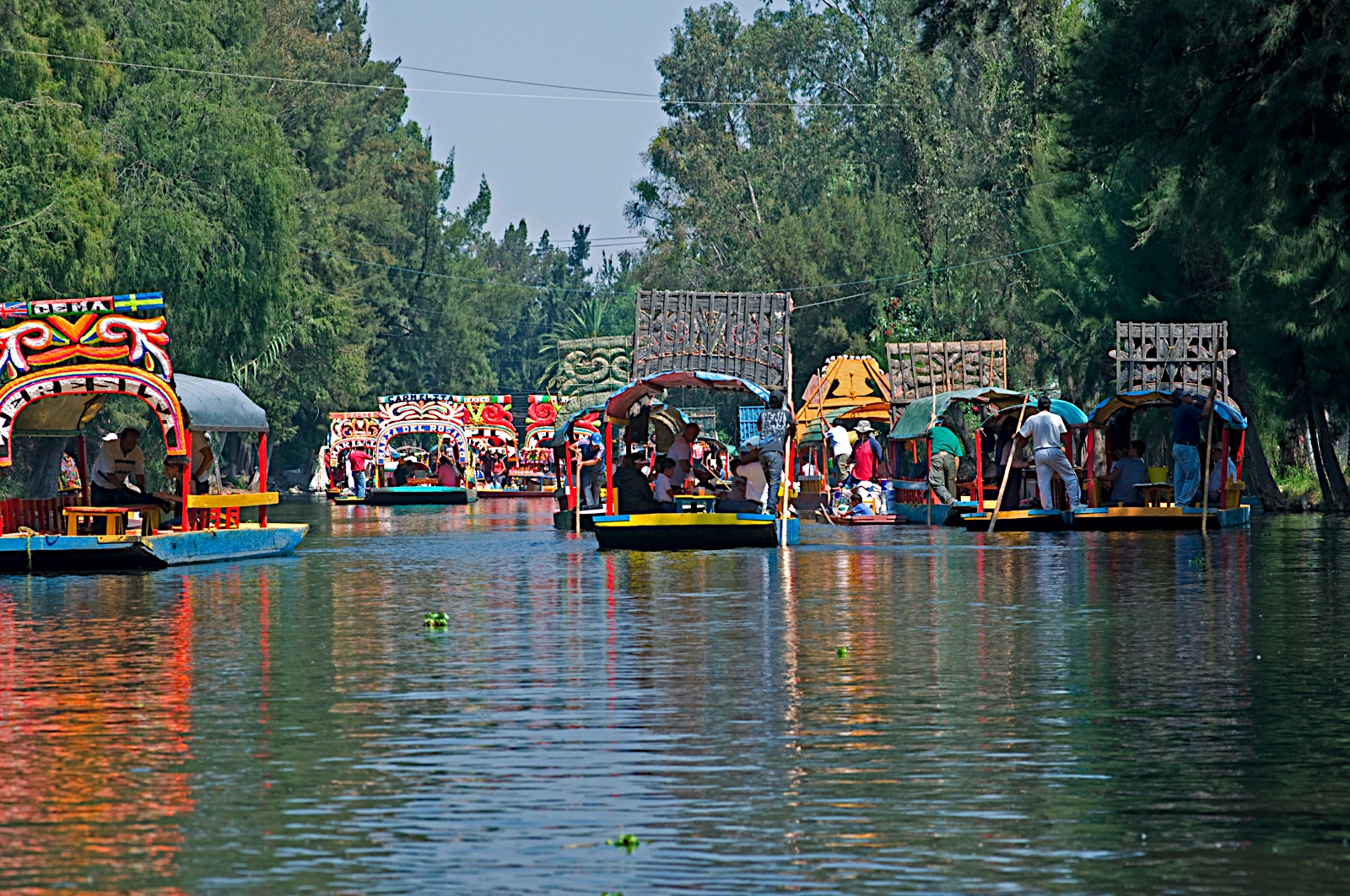 Arte, Cultura e Historia Xochimilco, Campo de flores.