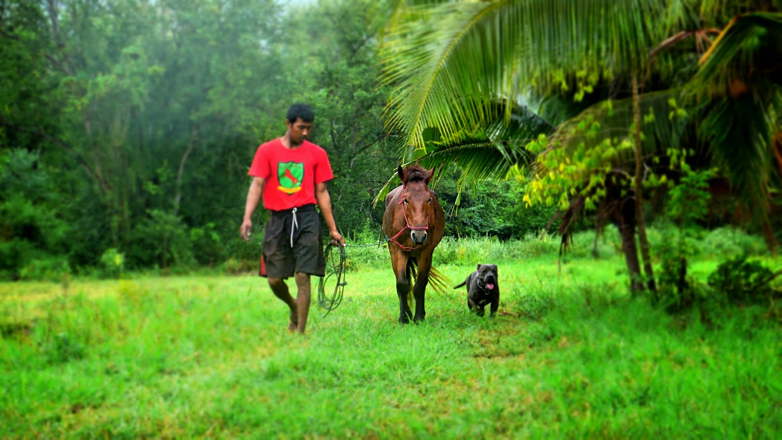 SN Farm Thap Sakae SN Farm Thailand