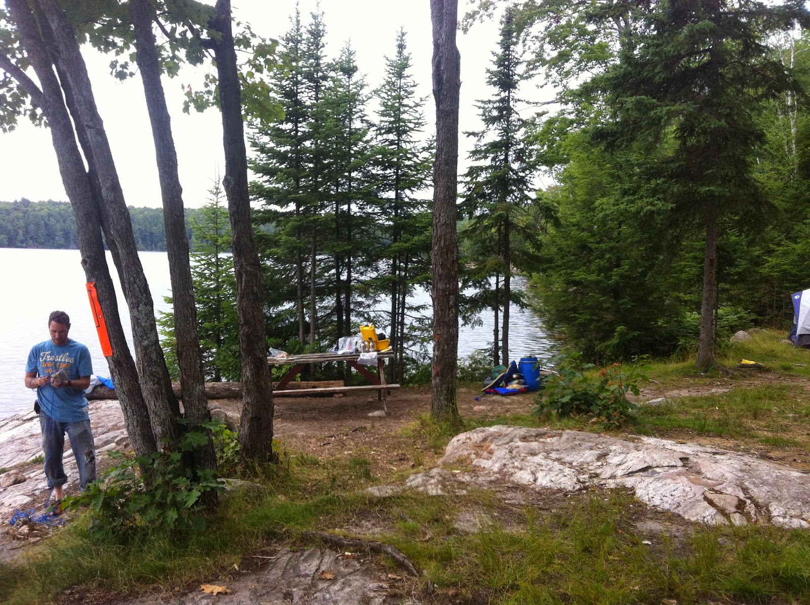 Kingscote Lake Camping Map Fresh Air & Fly Bites: Trip Log: Algonquin Park - Kingscote Lake - August  6-8, 2014