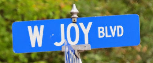 Joy Boulevard