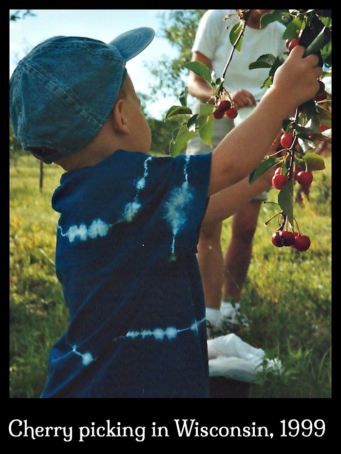 How to Pit and Freeze Cherries a Picture Tutorial. the most of
