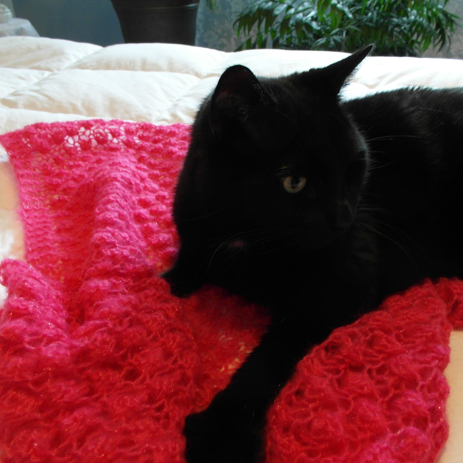 Lazy Daisy Knits by Amanda Cat Blanket