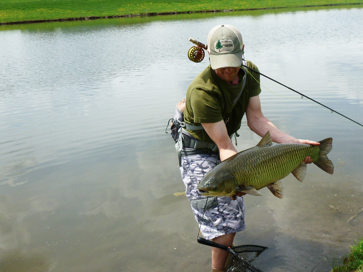 Currents Grass Carp