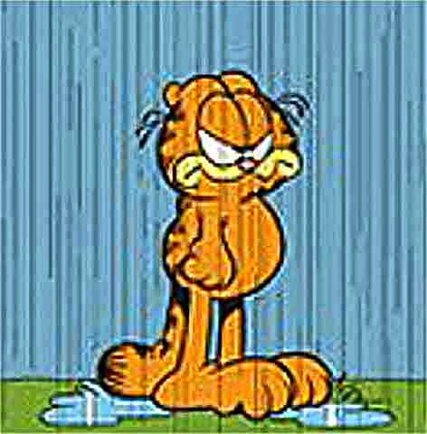 http://4.bp.blogspot.com/-hk_7tbuFOt8/VE-U-yEMyPI/AAAAAAAAzoU/9q318NqjGMs/s1600/garfield-rain.jpg