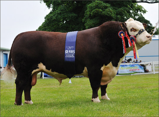 Edinburgh Scotland Weather