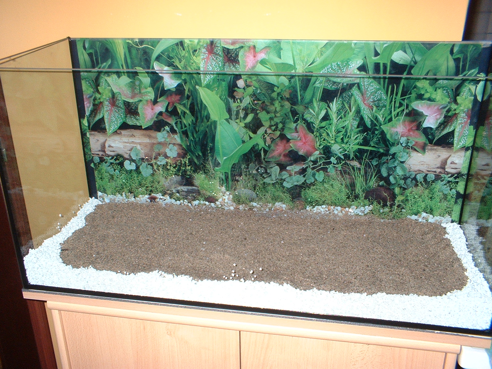 Regina's WATER SPIRITs: SPANNENDES AQUARIUM EINRICHTEN