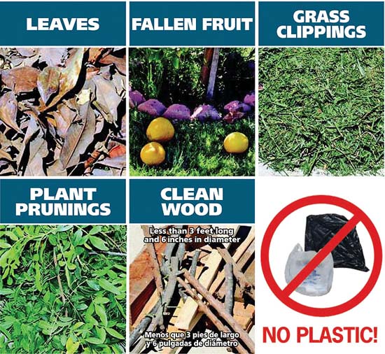 Got Compost New Brown Bin = Green Waste Recycling