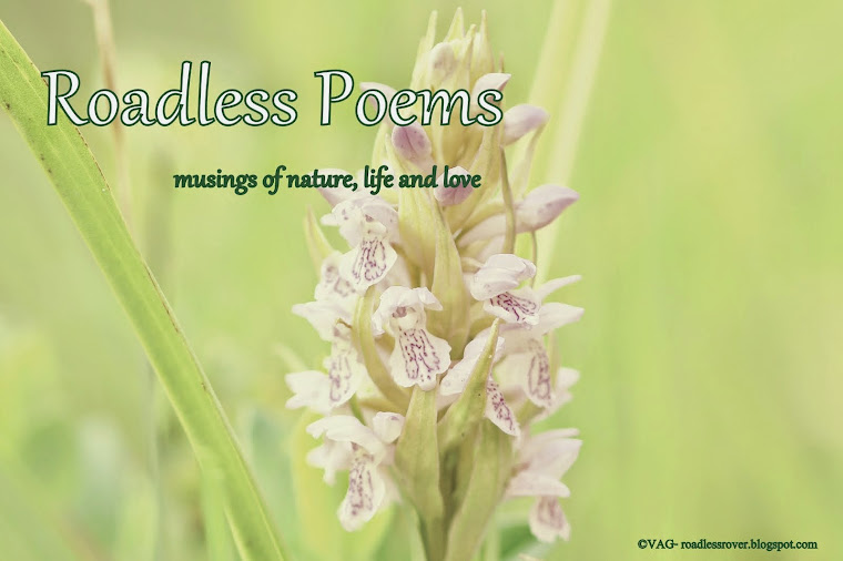 Roadless Poems