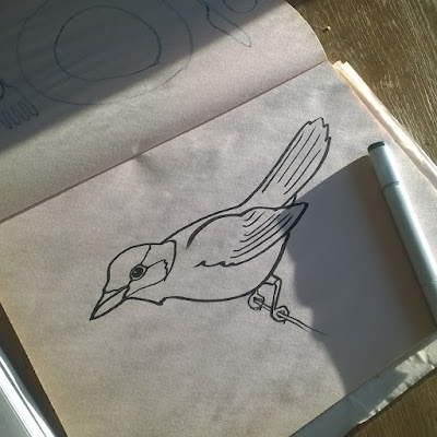 Kendra Shedenhelm Gray Jay bird Sketch