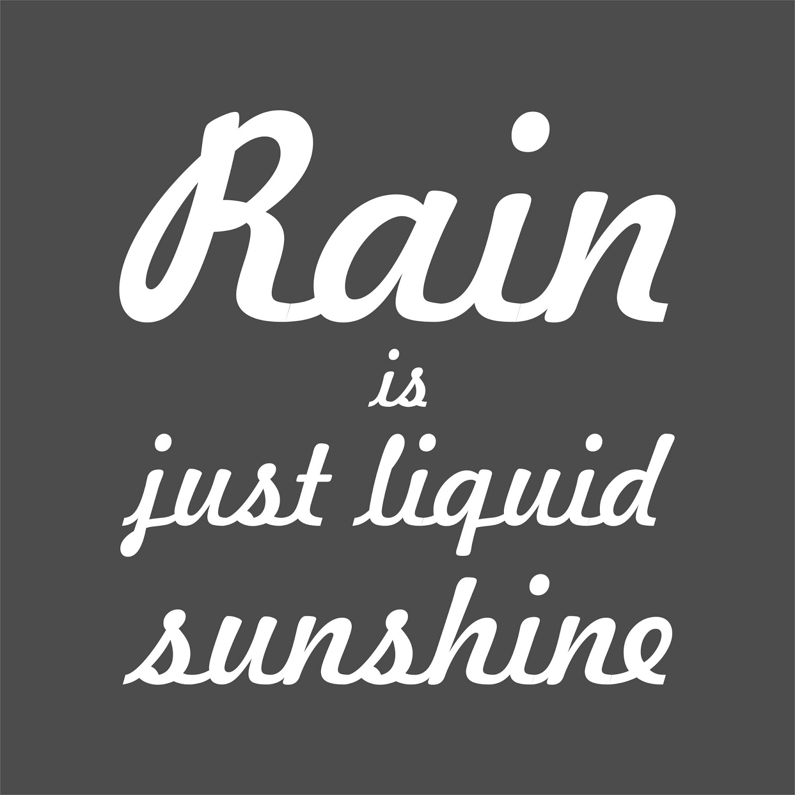 Going To Disney World Forecast Shows Rain. Advice? r/disney