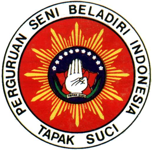 yayant putra SEJARAH SEJARAH PENCAK SILAT INDONESIA