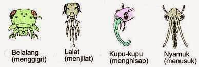 WAHANA GURU: Januari 2015