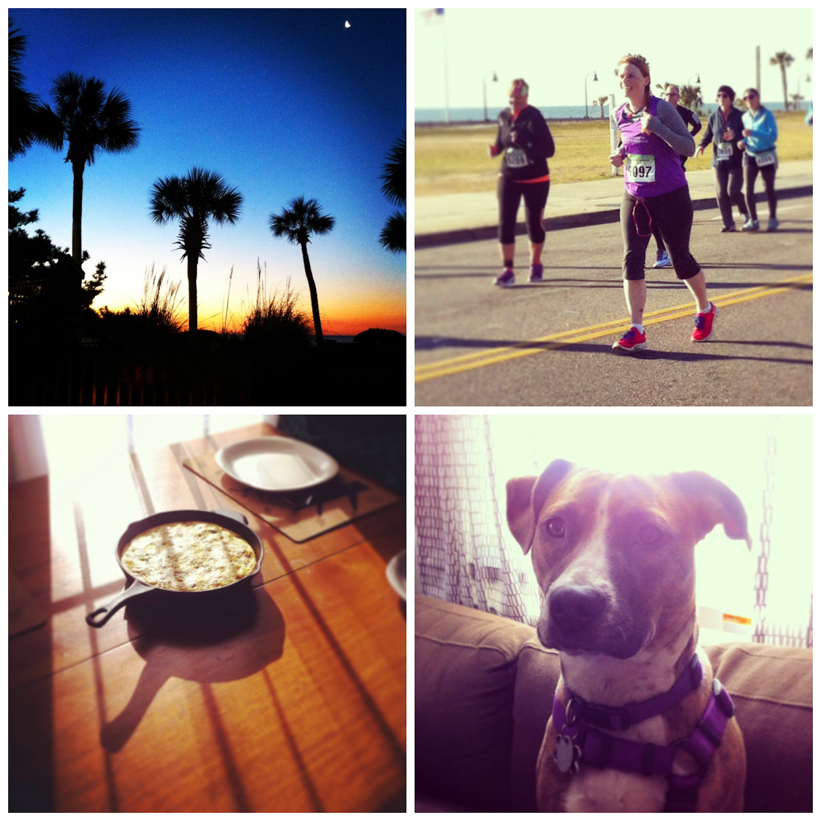 Myrtle Beach Stay Nights Get One Free Myrtle Beach Stay Nights Get One Free