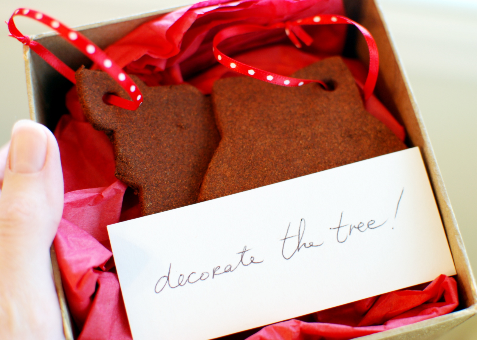 through the looking glass: bryan and emily wheeler: the christmas box