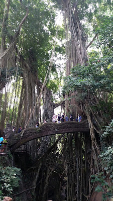 Monkey Forest (Ubud)