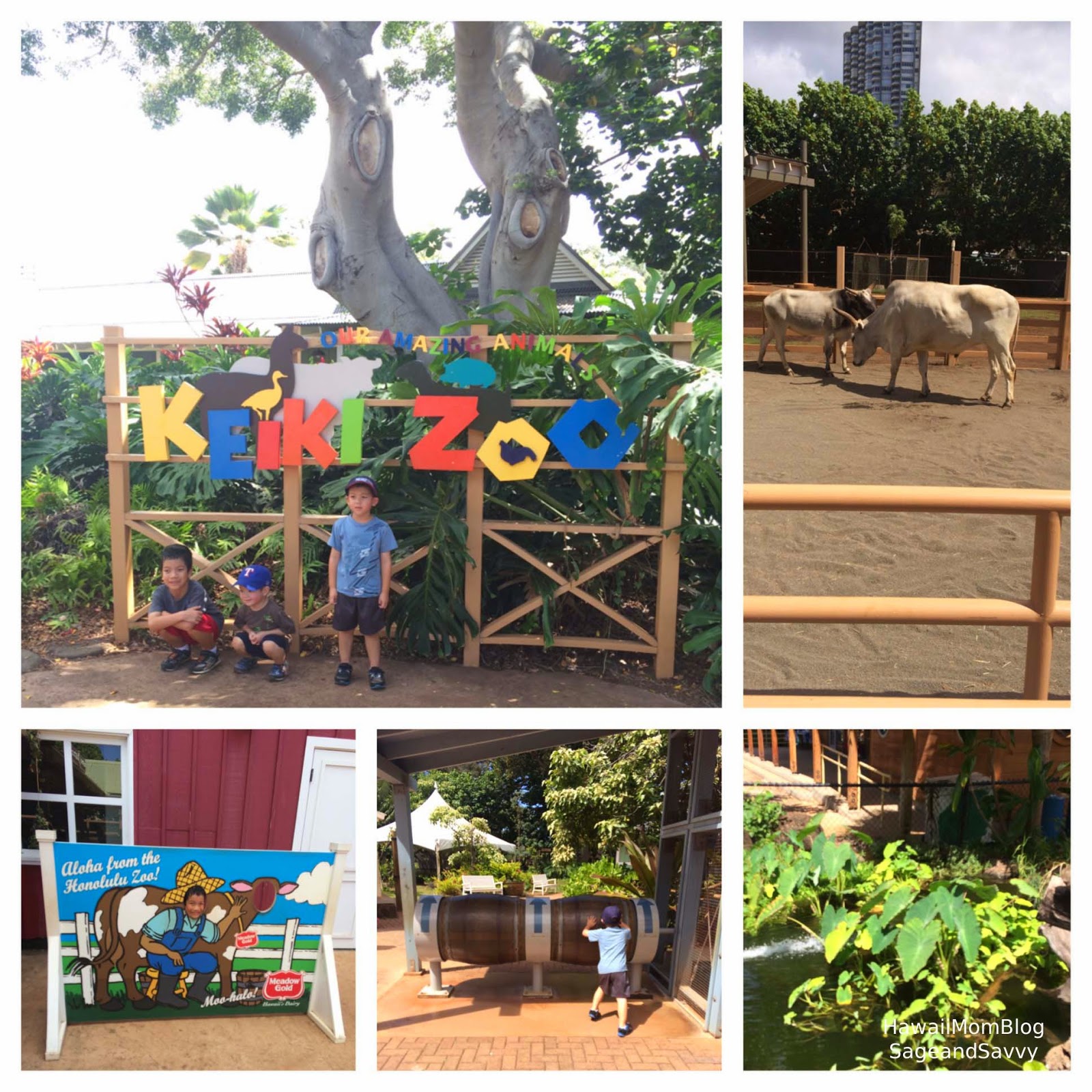 Hawaii Mom Blog Visit Oahu Honolulu Zoo