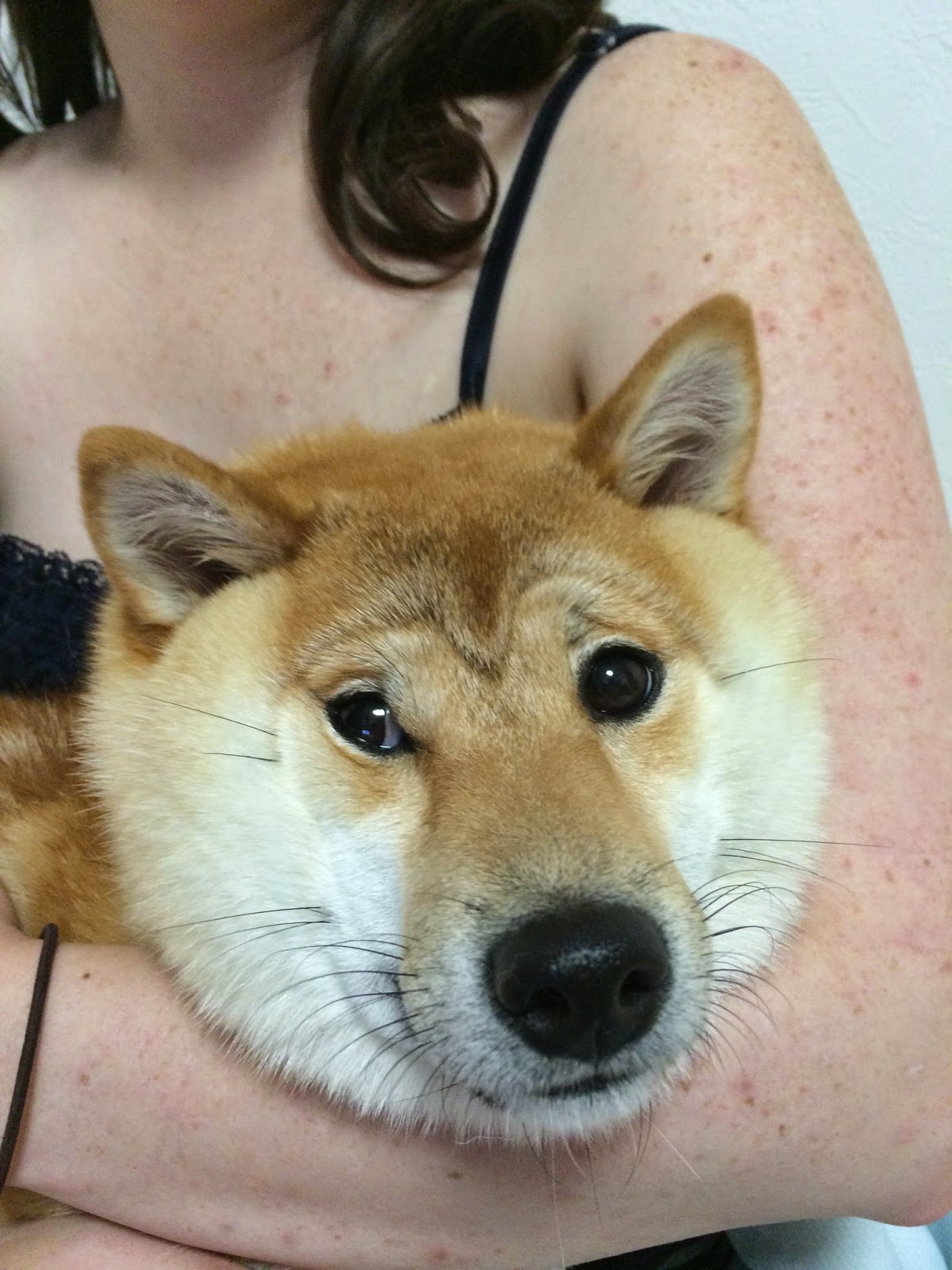 DOGE!