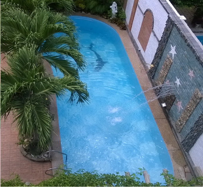 [Image: Villa%2Bpontus%2Bv%C5%A9ng%2Bt%C3%A0u2.png]