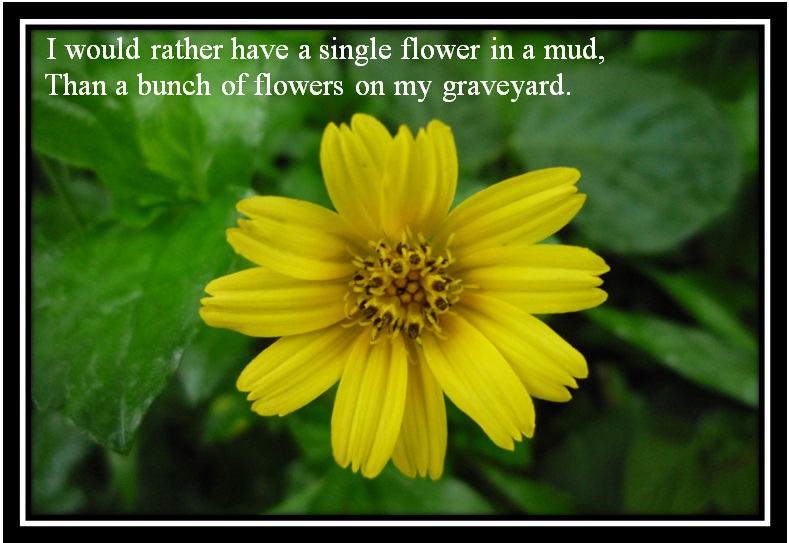 Quotes About Yellow Flowers. QuotesGram
