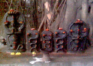Naga Panchami 2015 Date Naga Panchami 2015 Date