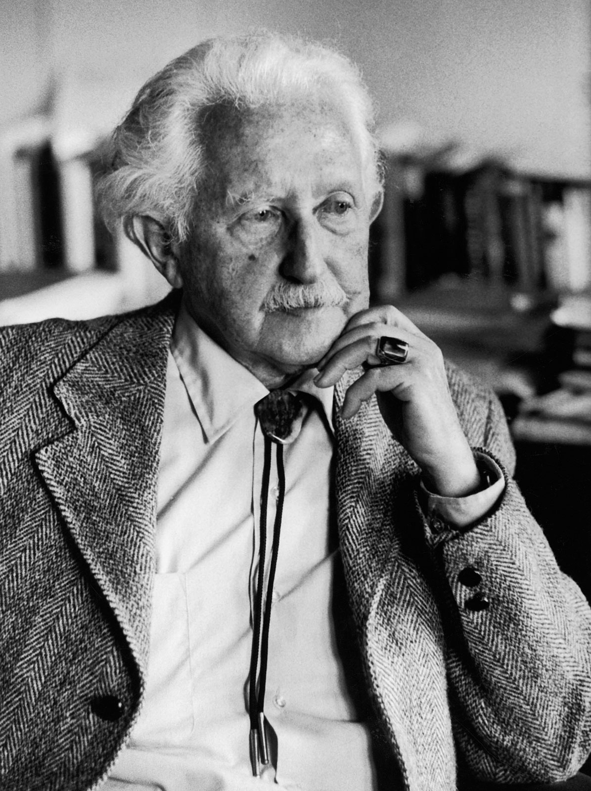 Erik erikson major point of view picture