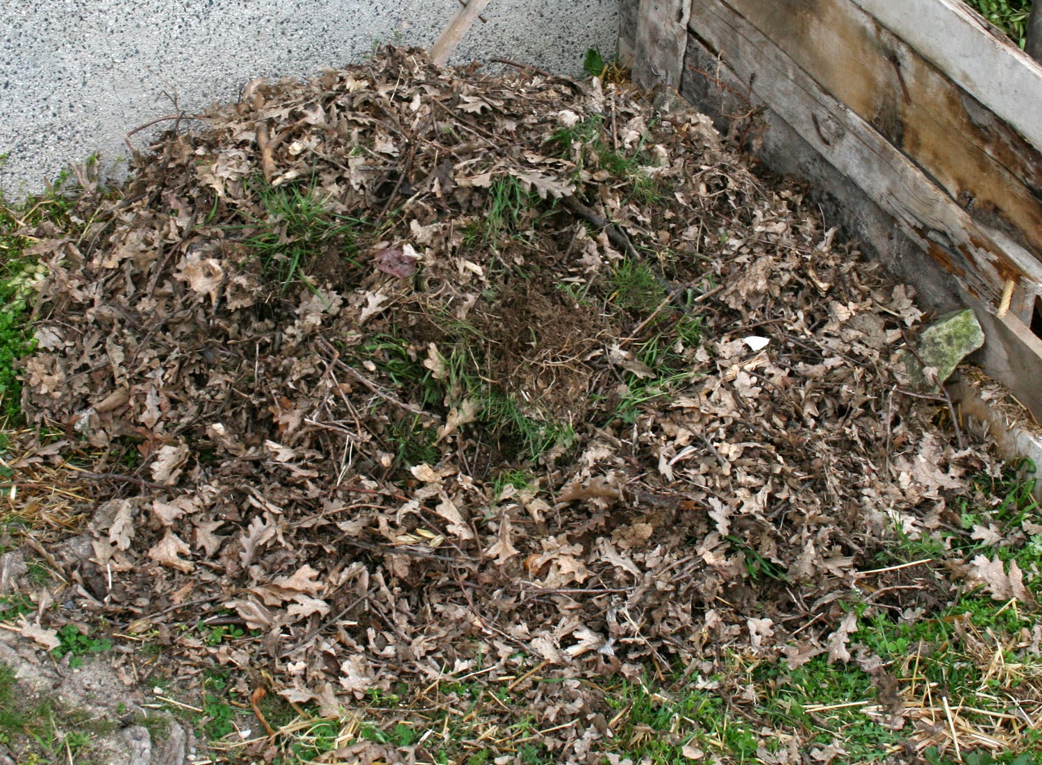 Pile of leaves and twigs to use as cover material Pile of leaves and twigs to use as cover material