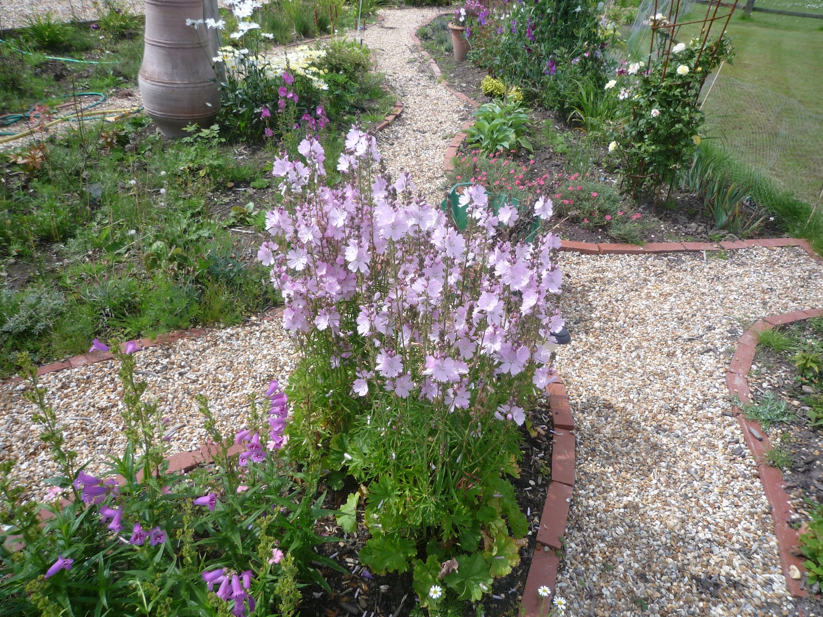 Not Green Fingered Gardeners The Story So Far July Dec 2011