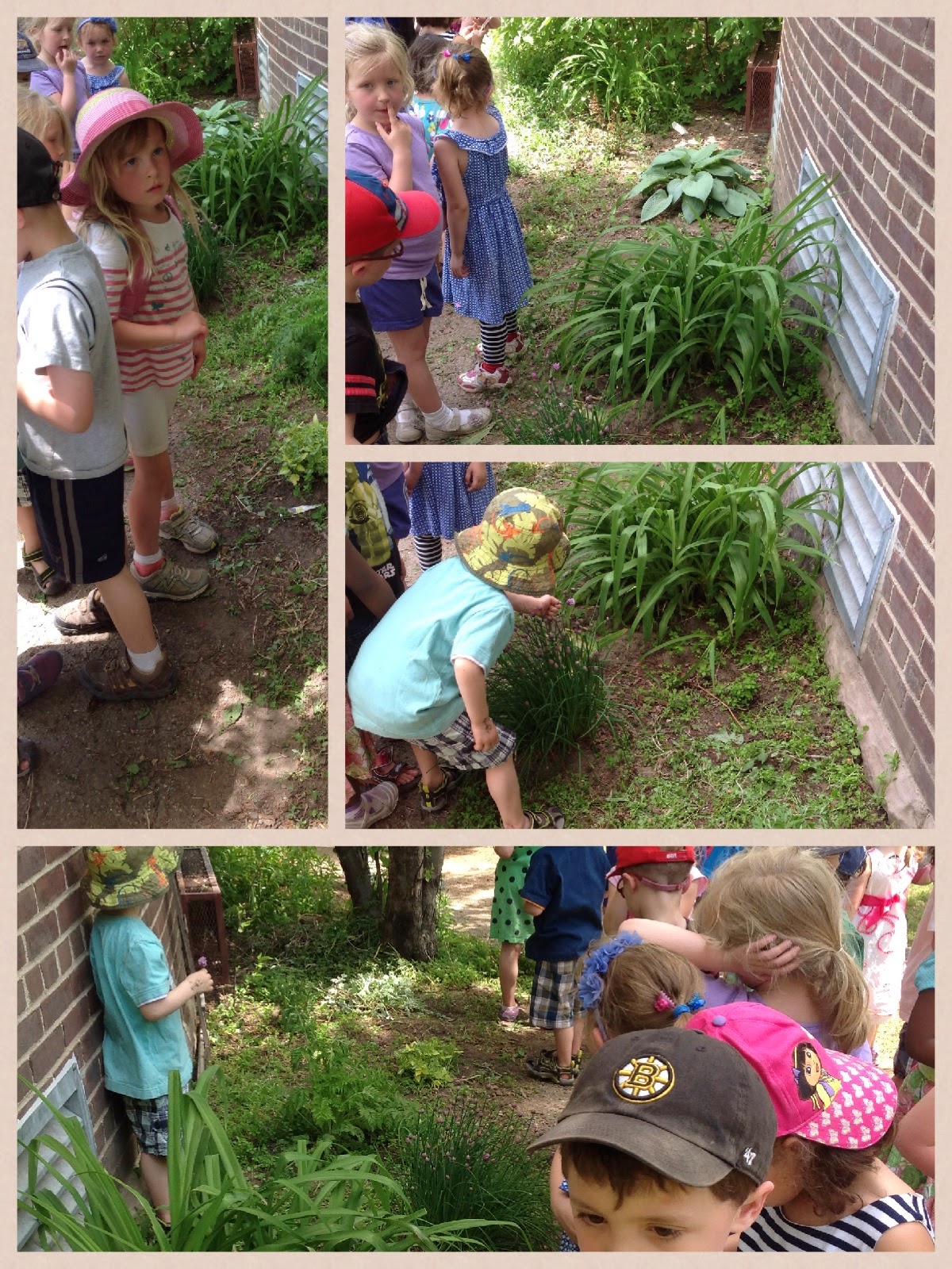 Wonders in Kindergarten: Planning our garden!