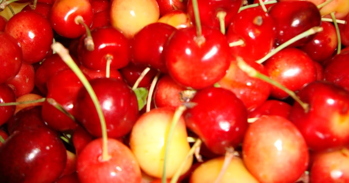 Redman Family Favorites Canning Rainier Cherries
