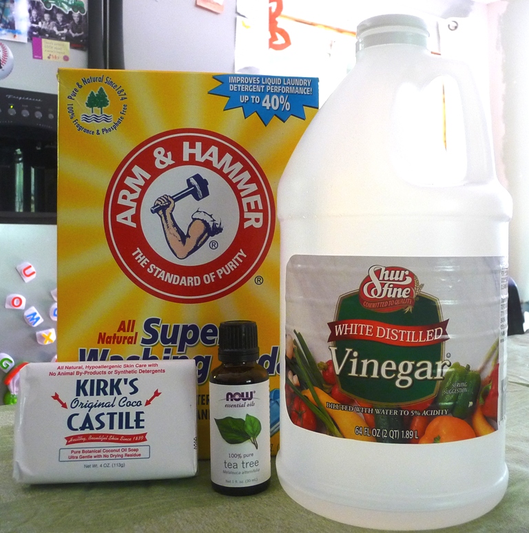 The ArtisTree Homemade Dish Soap