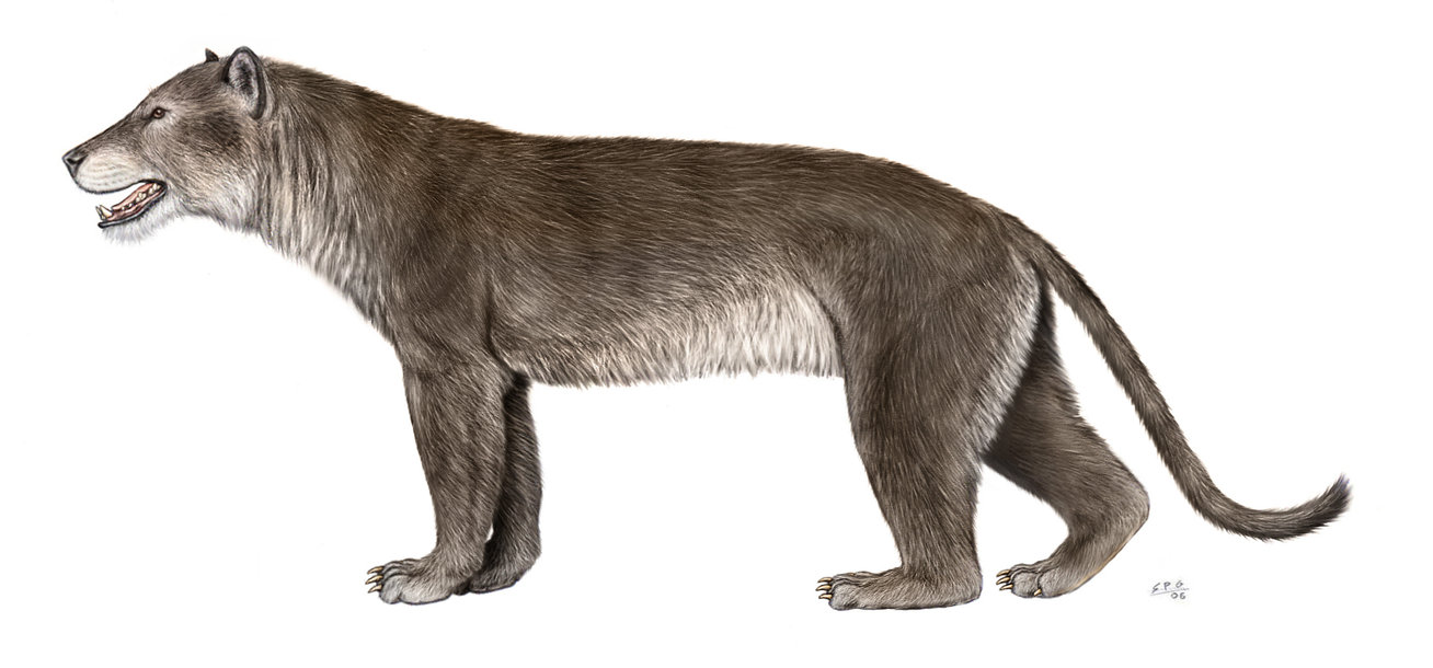 Bear Dogs Prehistoric